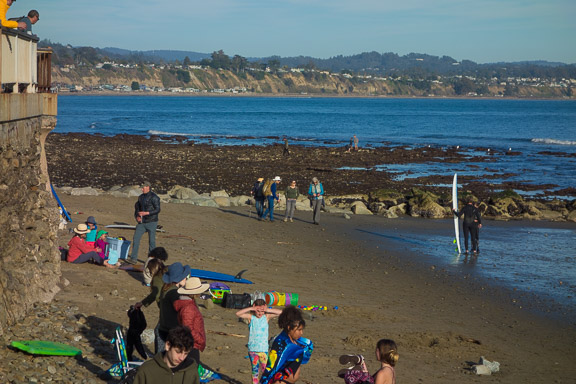 Low Tide Beach Walk, February 19, 2023