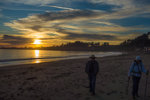 Low Tide Beach Walk, February 19, 2023